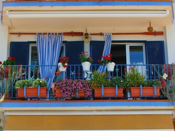 Stavite jedno jaje u saksiju i gledajte šta će se desiti: Trik koji mijenja sve