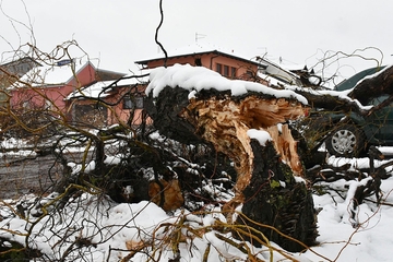 Nevrijeme u Hrvatskoj: Stabla padala na vozila, građani bez struje