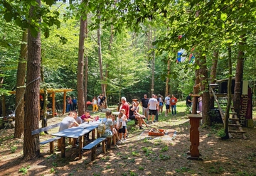 DRUŽENJA KAKVA TREBA I UBUDUĆE ORGANIZOVATI Roštiljijada okupila veliki broj Milićana (FOTO)