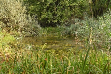 Plan restauracije zaštićenog staništa „Gromiželj“ na javnom uvidu