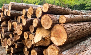 Poznat identitet poginulog radnika iz BiH u Italiji