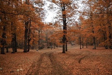 Danas svježije, poslijepodne razvedravanje