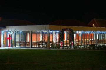 Petak rezervisan za dobru svirku: Grupa Vožd nastupa u Čičinom sokačetu (FOTO)