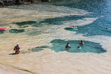 Svake godine sve intenzivnije: Cvjetanje mora u Puli brine naučnike /VIDEO/