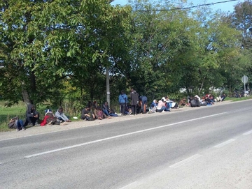 DESETINE MIGRANATA u Kojčinovcu kod Bijeljine (FOTO)