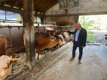 Milenko Zupur: ČUVAJMO DOMAĆE