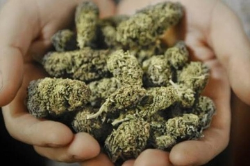 Državljanin BiH pokušao ući u Hrvatsku sa četiri kg droge