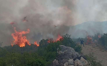 Požar na planini Žaba kod Neuma i dalje aktivan