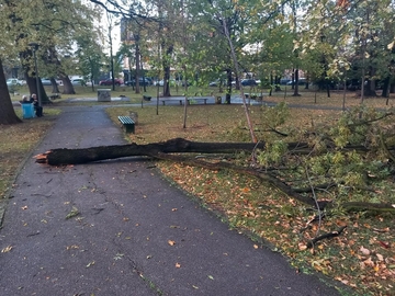 Meteorolozi upozoravaju: Stiže nam olujni vjetar