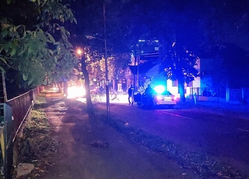 Drvo "zaustavilo" saobraćaj u Račanskoj 