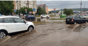 POTOP Vjetar u Nišu obarao stabla