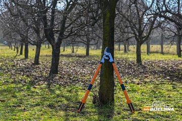 Stručnjaci upozoravaju: Mraz dolazi 6. i 7. aprila, voćari da reaguju na vrijeme
