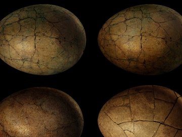 Pronađeno savršeno očuvano jaje dinosaurusa