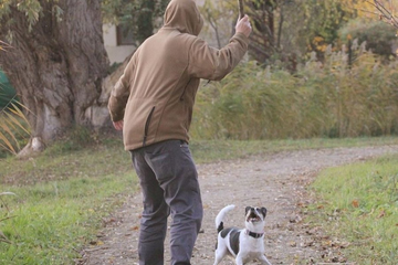 Muškarac iz BiH osuđen na zatvor zbog okrutnosti prema svom psu