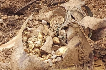 Kopali temelje za zgradu, a naišli na lonac sa blagom