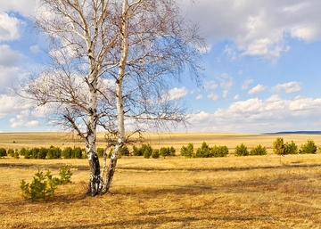 Danas sunčano i toplo