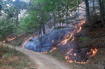 Rasplamsao se požar na Majevici