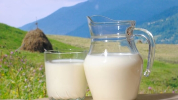 BiH ima mlijeka za izvoz u Kinu