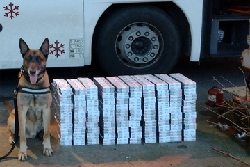 Pas nanjušio 50.000 cigareta u autobusu