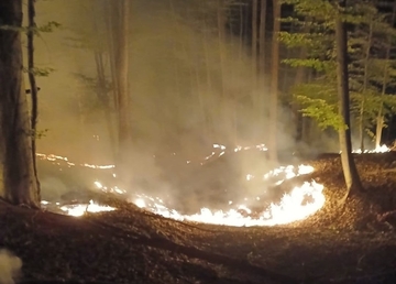 Požar na Majevici prijeti širenjem: Vatrogasci i mještani u borbi s vatrenom stihijom /FOTO/