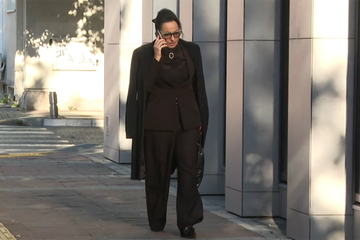 Sud traži stalni nadzor Vesne Medenice: Šta to u praksi podrazumijeva?