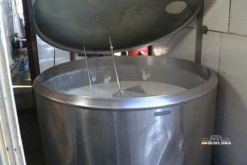 Gdje završava mlijeko proizvedeno u BiH?