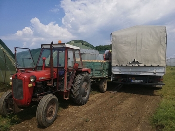 Ionako povrće dajemo ispod svake cijene OVE GODINE NI RODA NI ZARADE