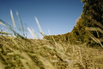 Danas sunčano uz promjenljivu oblačnost, uveče postepeno naoblačenje