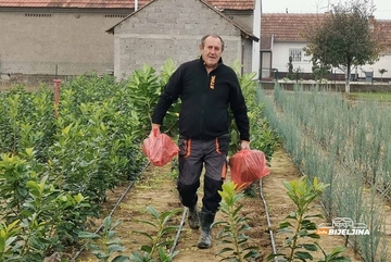 Draža im Semberija od Švedske: Sa 3,5 dunuma pod cvijećem dobiju kao sa 20 pod povrćem (FOTO)