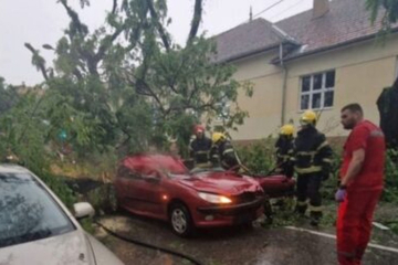 Drvo usmrtilo ženu tokom nevremena