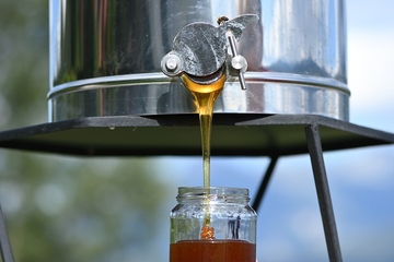 ŠTA JEDEMO: U BiH se uvozi med koji košta 4,58 KM/kg