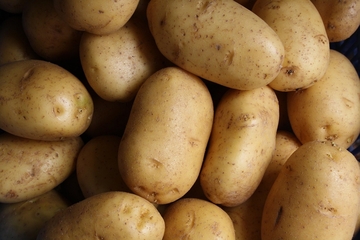 Najskuplji krompir na svijetu košta 500 evra po kilogramu