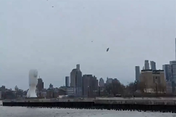 Direktor "Siemensa", njegova supruga i troje djece poginuli u padu helikoptera (VIDEO)