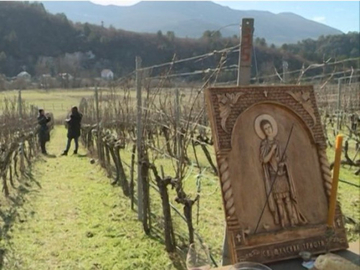 Slavimo Svetog Trifuna: Šta znači praznik vina i loze i zašto je istog dana kad i Valentinovo
