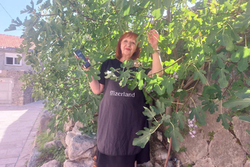 Čudesna smokva raste u zidinama Muzeja Hercegovine, čuva je frizerka Novka