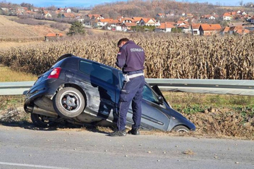 Muškarca ujela osa za volanom pa sletio s puta i zakucao se u betonski stub