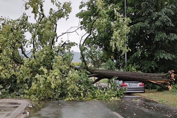 Snažno nevrijeme jutros u Banjaluci, vjetar obarao stabla