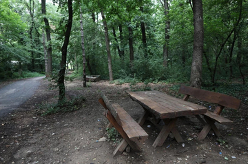 Misteriozna smrt u šumi: Tijelo žene naslonjeno na drvo otkrili lovački psi, leš bio tu mjesecima