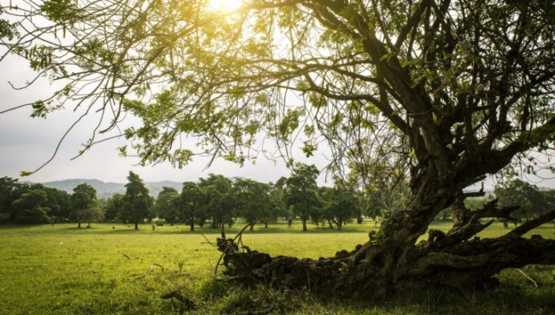Danas sunčano i toplije vrijeme
