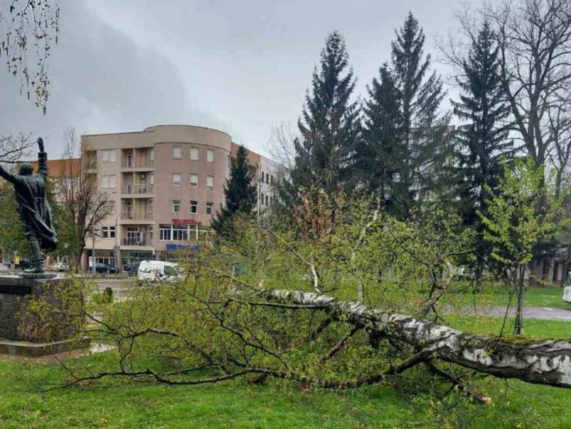 Nevrijeme u Prijedoru: Vjetar čupao stabla, oštećena Tržnica