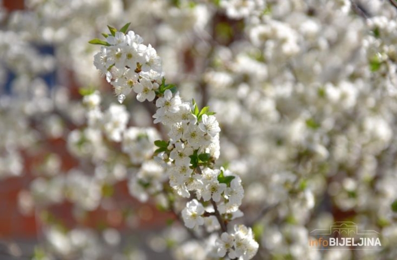 Vremenska prognoza za naredne dane