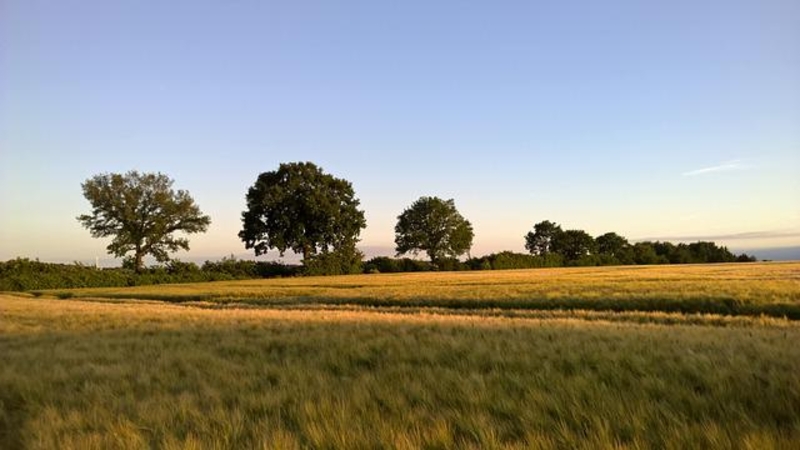 Danas sunčano i toplije